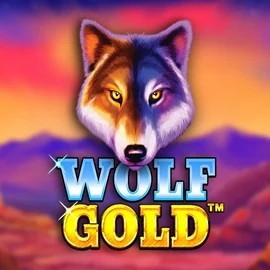 Play Wolf Gold slot by Pragmatic Play on wildrobinn.com.pl